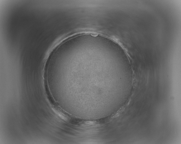 X0000074940151200609152013