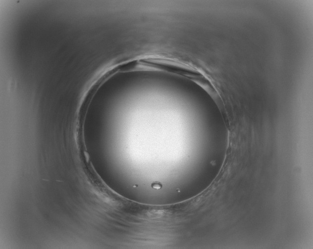 X0000074940152200609152013