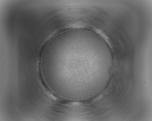 X0000074940153200609152014