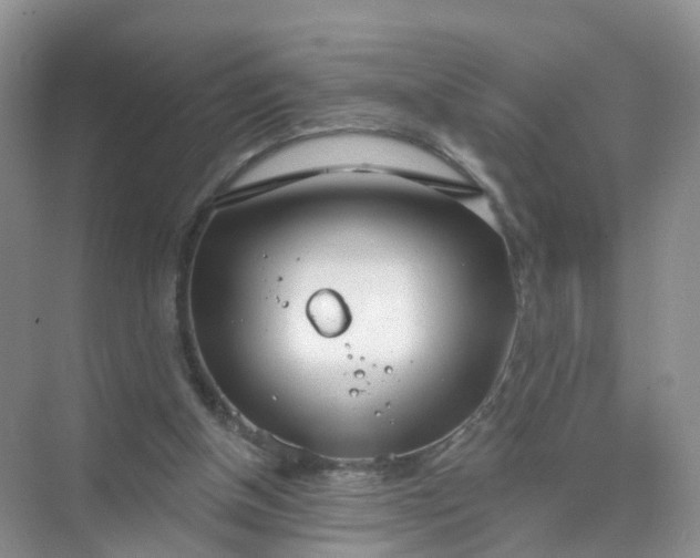 X0000074940154200609152014