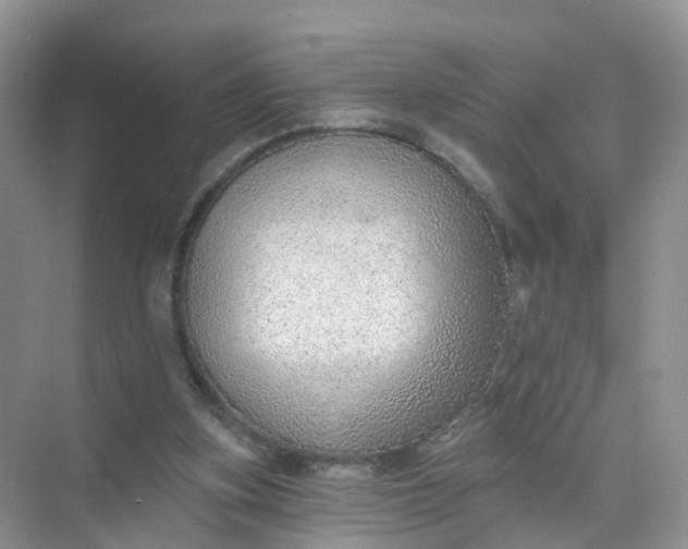 X0000074940155200609152014