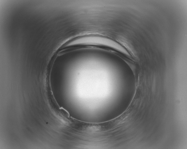 X0000074940156200609152014