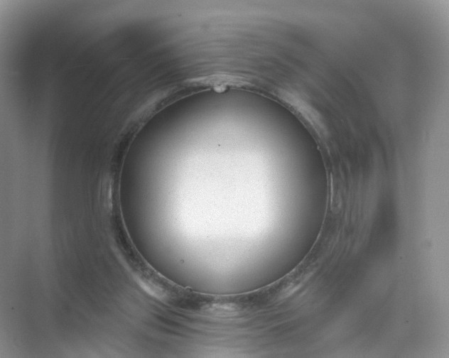 X0000074940157200609152014