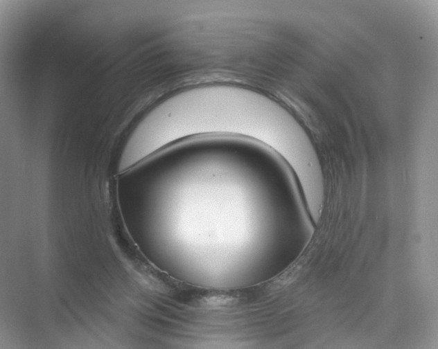 X0000074940158200609152014