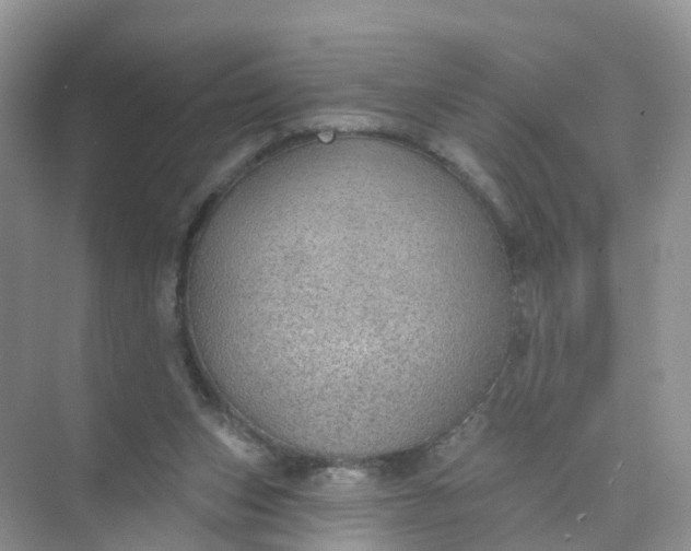 X0000074940159200609152014