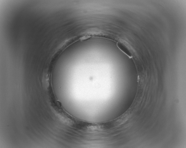 X0000074940160200609152014