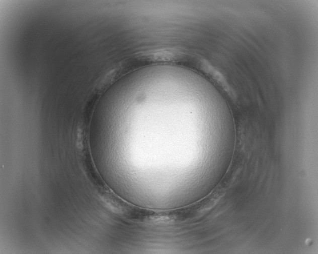 X0000074940161200609152014