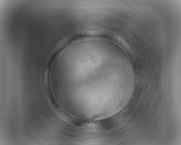 X0000074940163200609152014