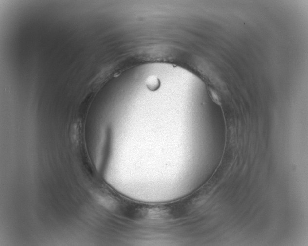 X0000074940165200609152014