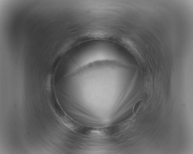 X0000074940167200609152014