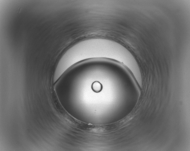 X0000074940168200609152014