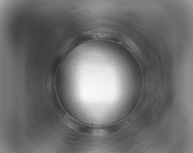 X0000074940169200609152014