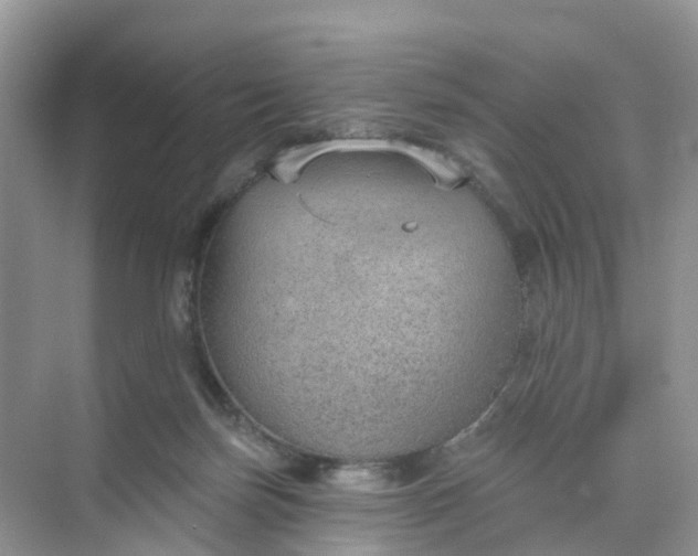 X0000074940171200609152014