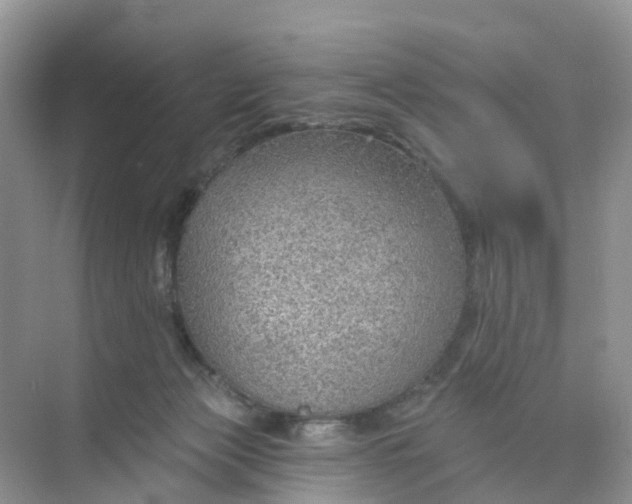 X0000074940173200609152014