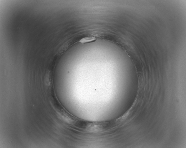 X0000074940174200609152014