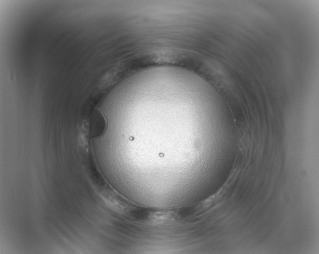 X0000074940175200609152014