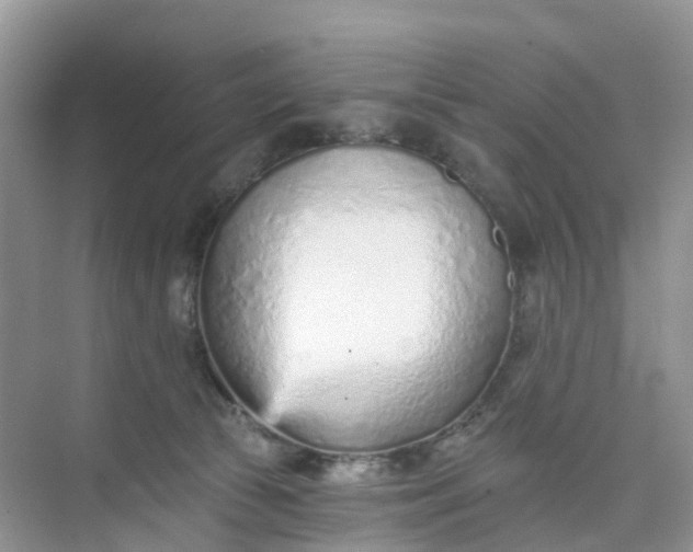 X0000074940177200609152014