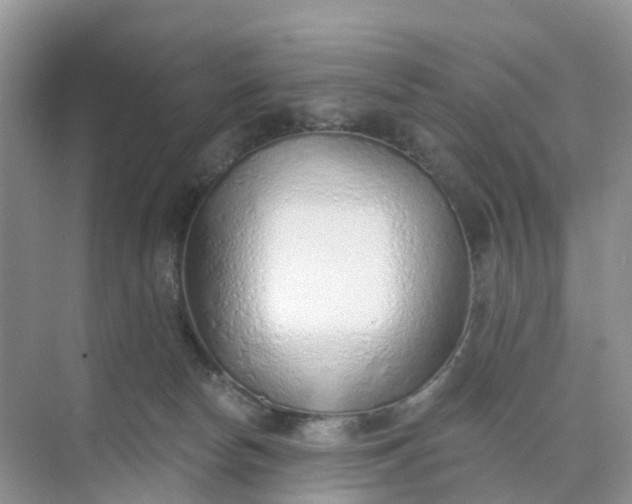 X0000074940178200609152014