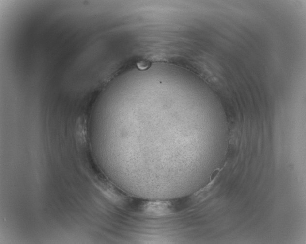 X0000074940179200609152014