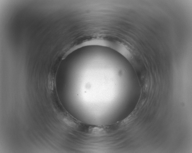 X0000074940180200609152014