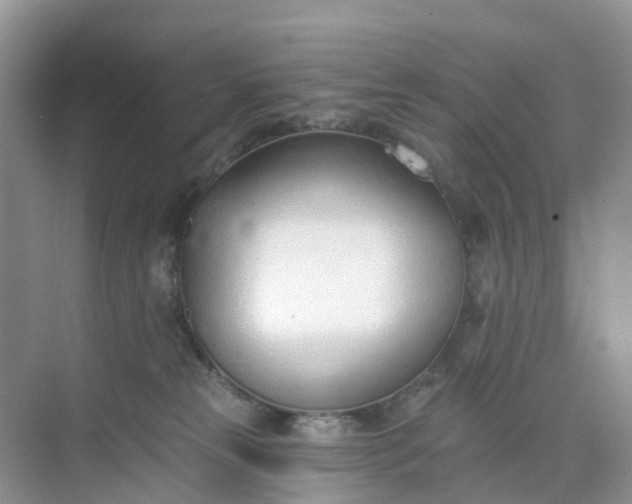 X0000074940181200609152014