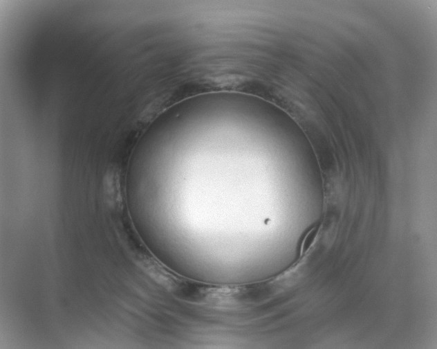 X0000074940182200609152014