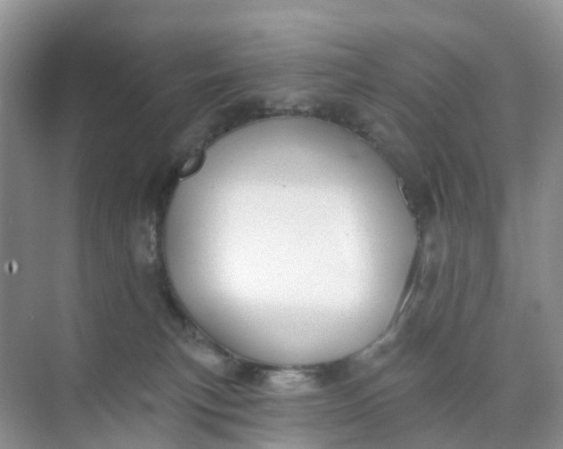 X0000074940183200609152014