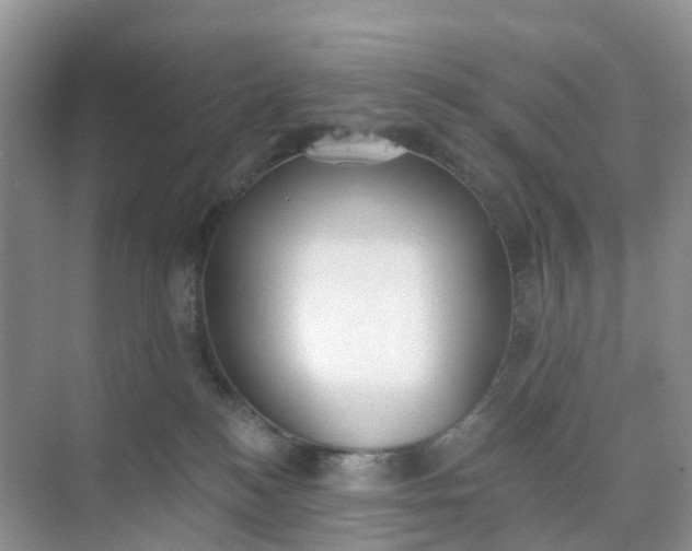 X0000074940184200609152014