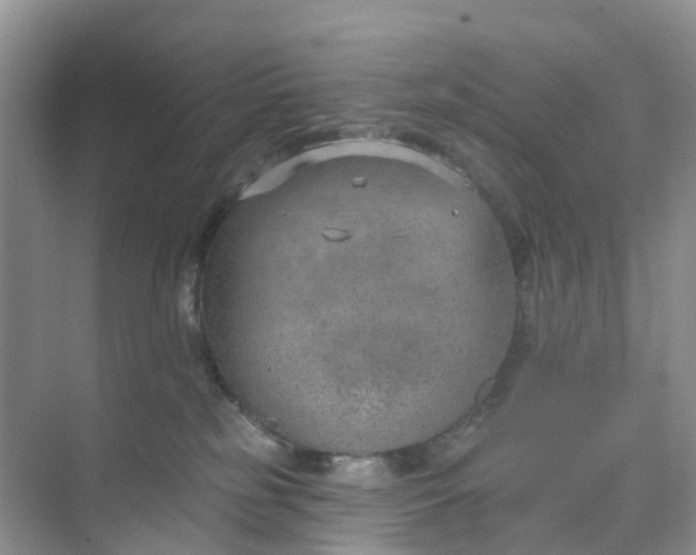 X0000074940185200609152014