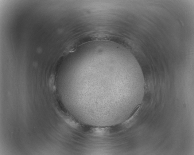 X0000074940187200609152014