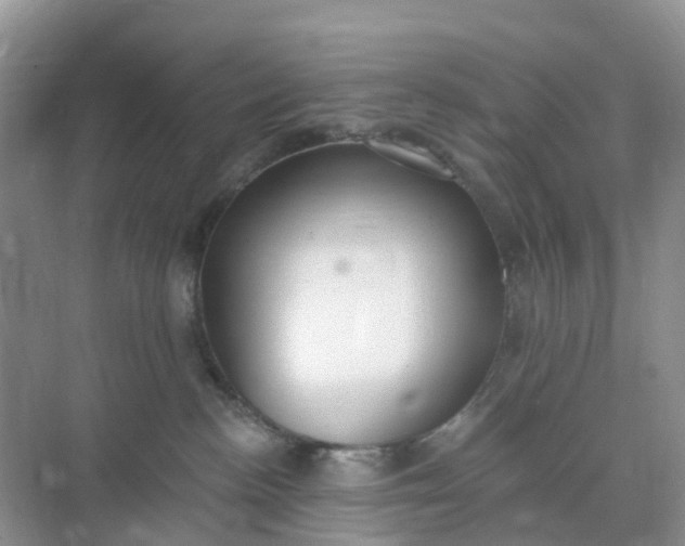 X0000074940188200609152014