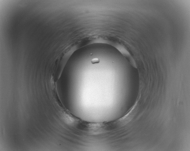 X0000074940192200609152014