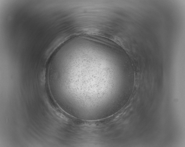 X0000074940194200609152013