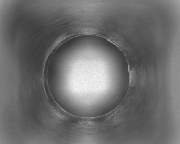 X0000074940195200609152013