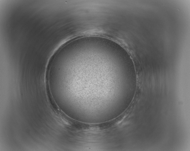 X0000074940196200609152013