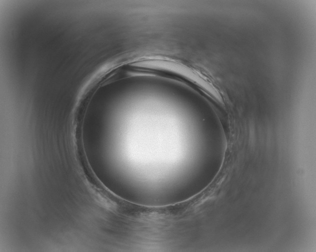 X0000074940197200609152013