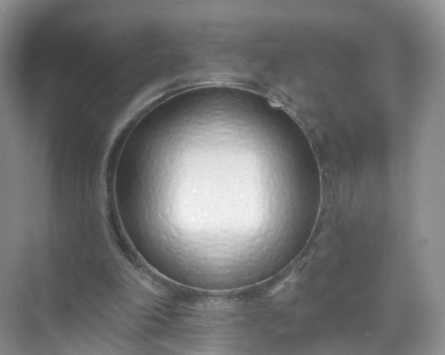 X0000074940198200609152013