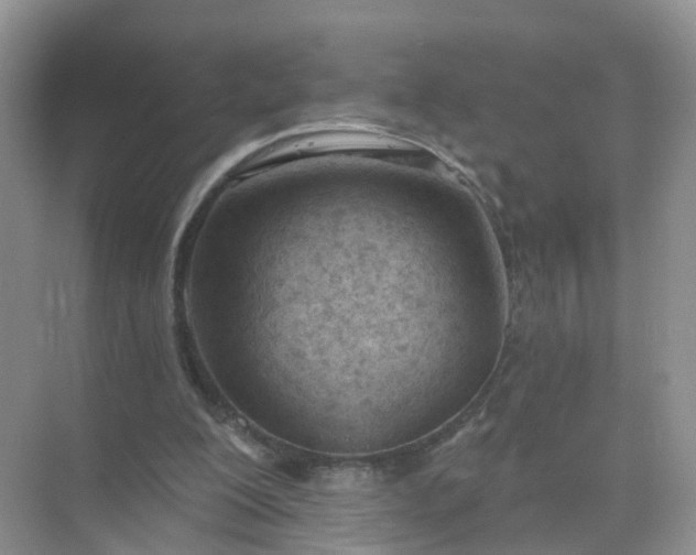 X0000074940200200609152013