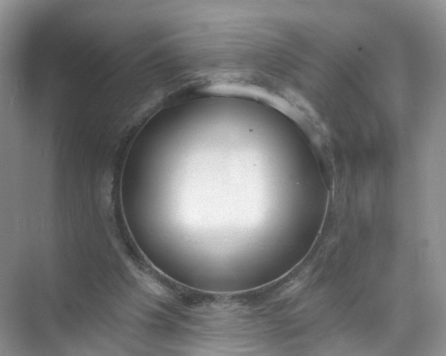 X0000074940201200609152013