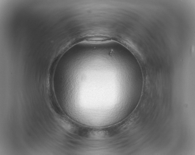 X0000074940202200609152013