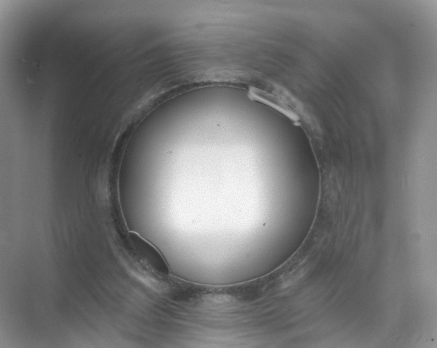 X0000074940203200609152013