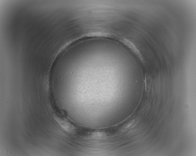 X0000074940204200609152013