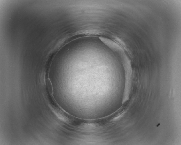 X0000074940205200609152013