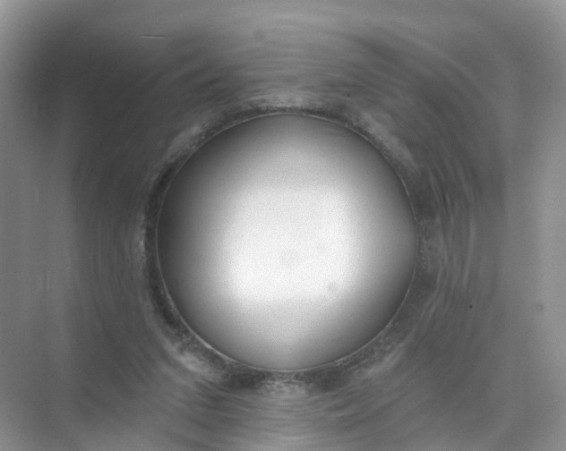 X0000074940207200609152013