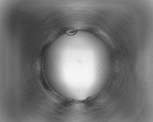 X0000074940210200609152013