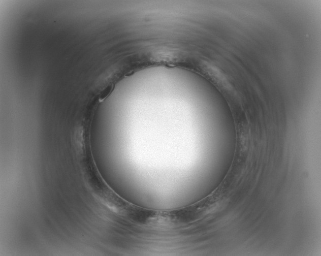 X0000074940211200609152013