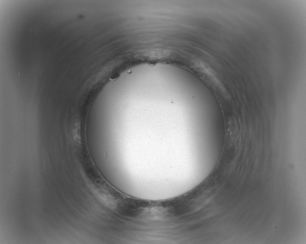 X0000074940212200609152013