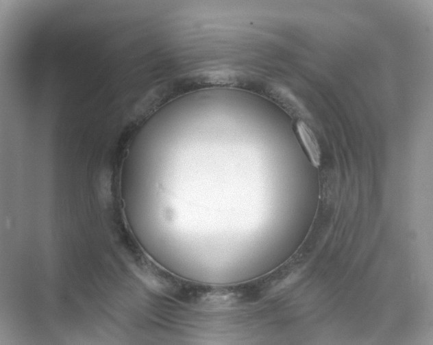 X0000074940213200609152013