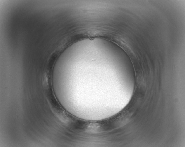 X0000074940214200609152013