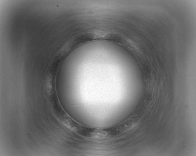 X0000074940215200609152013